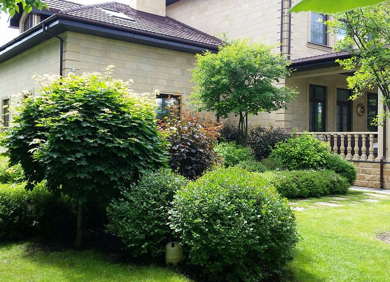 Заповедная