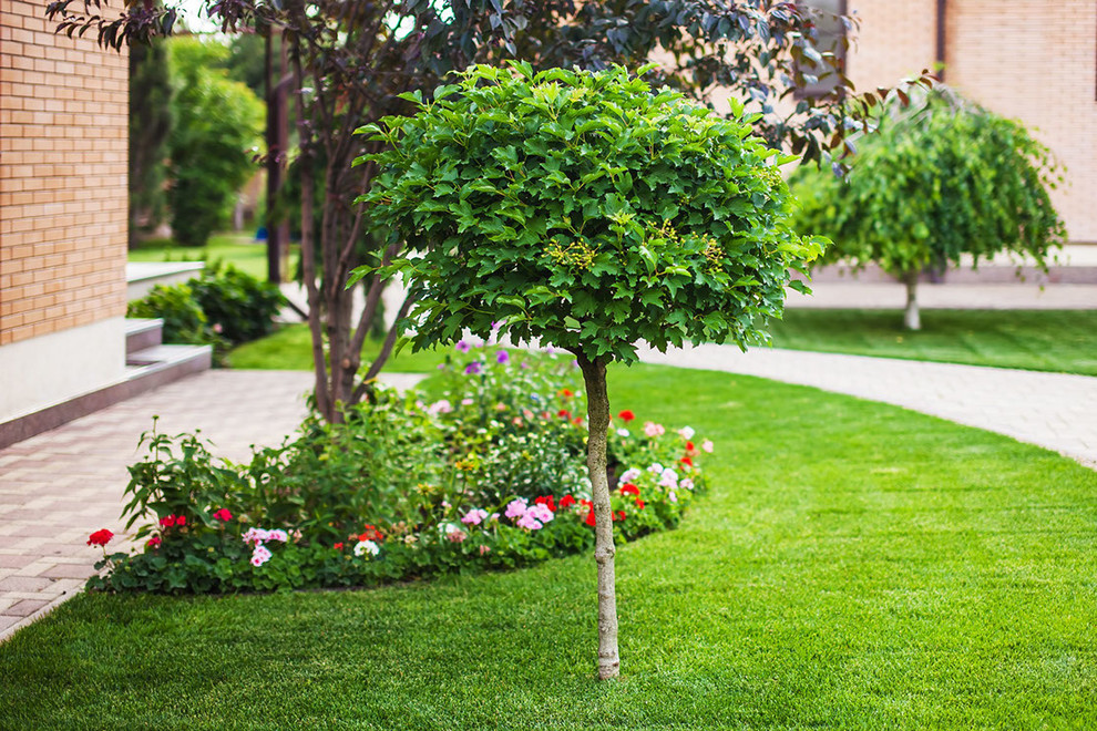 ландшафтный дизайн 2