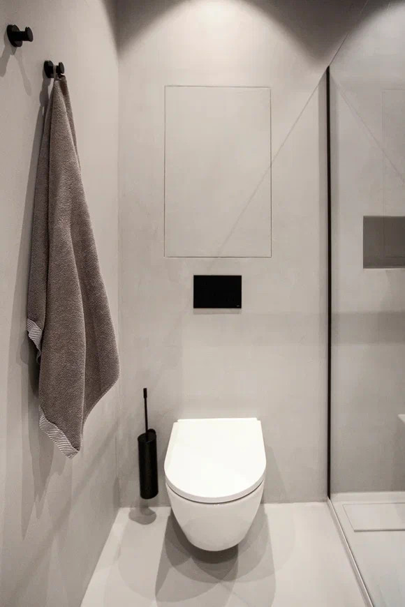 Проект квартиры в ЖК "Серебряный парк". Краска, штукатурка, микроцемент.