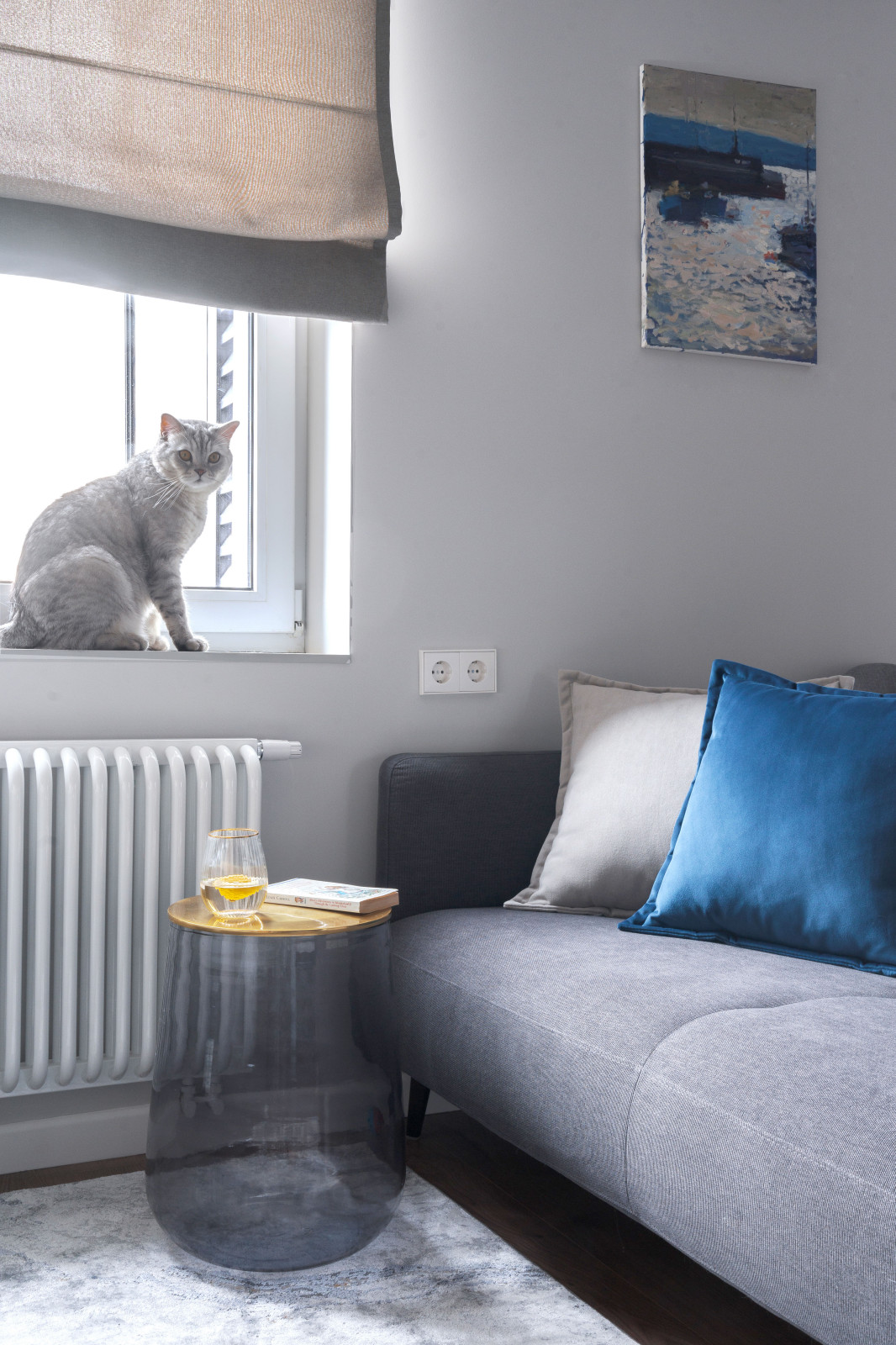 Кухня-гостиная