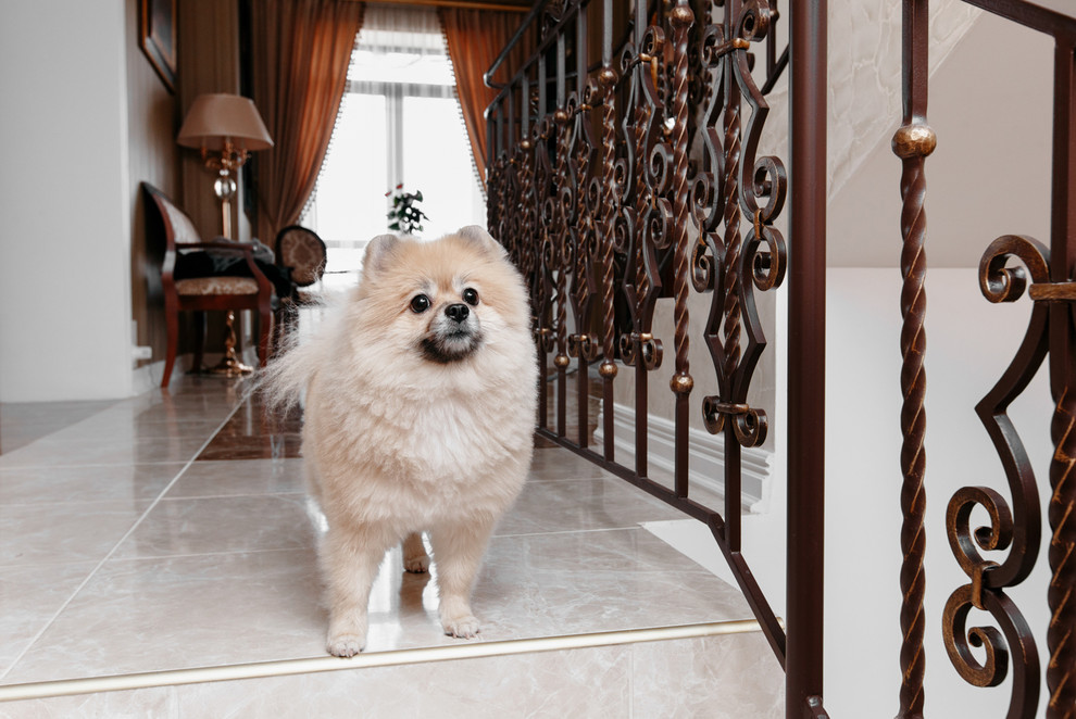 Загородный дом