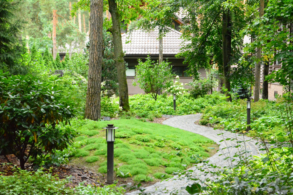 Заповедный бор