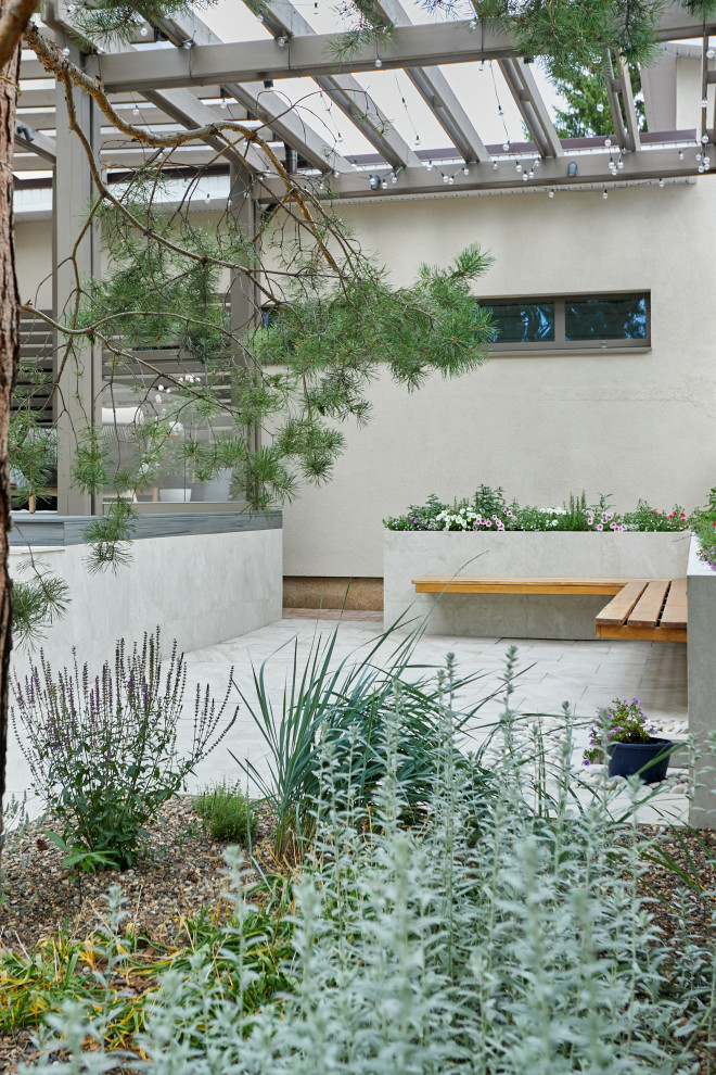 Проект "Современный сад"