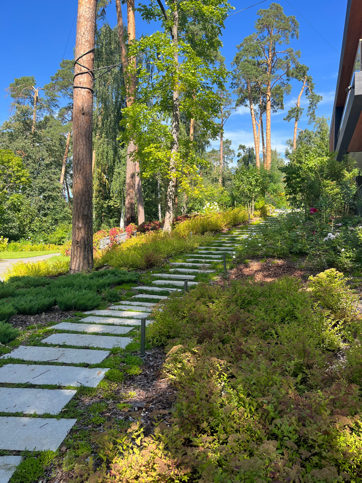 Петрово-Дальнее