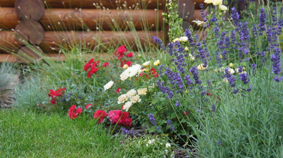 Прохорово лето 2017