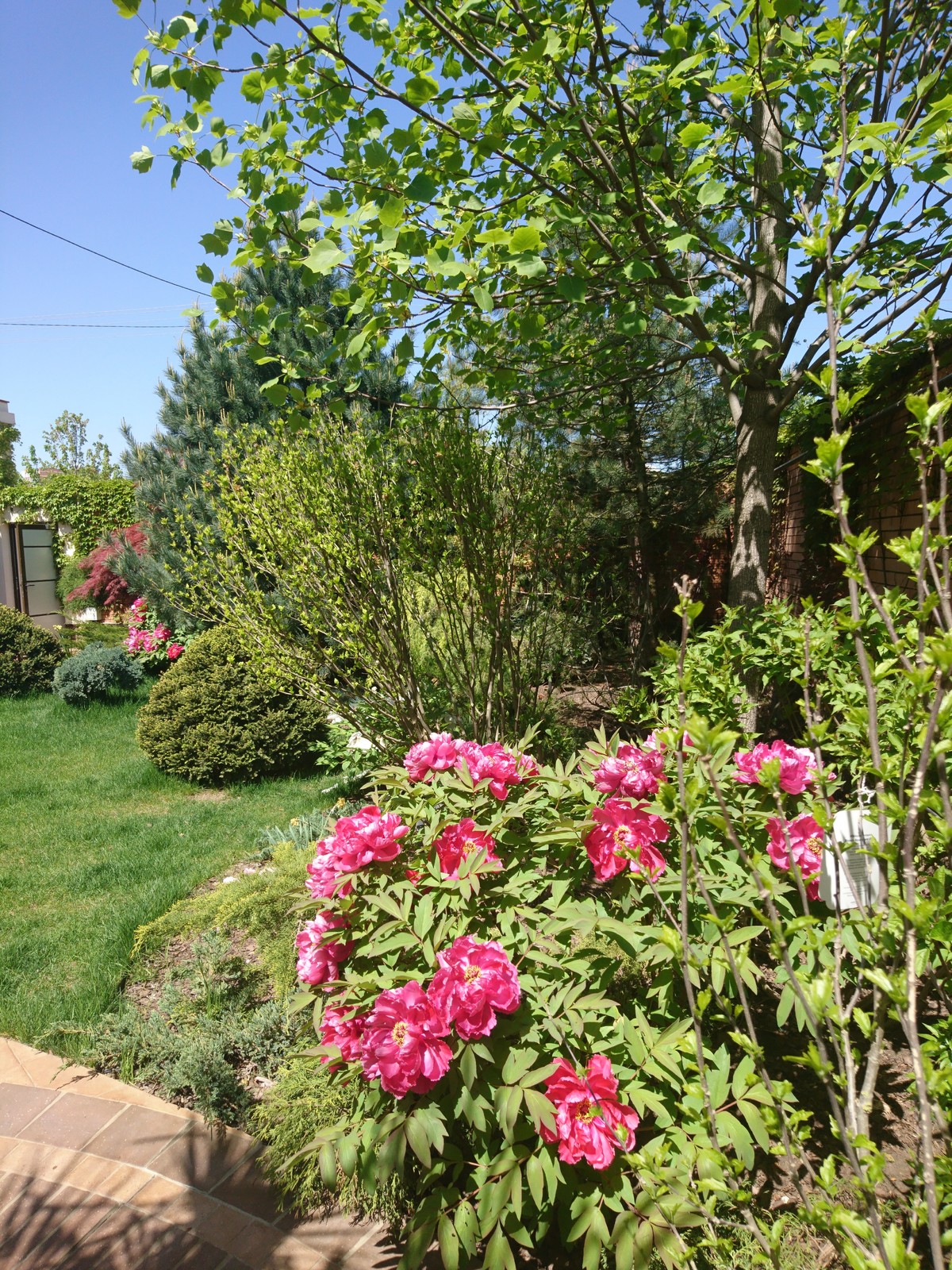 Черноморская