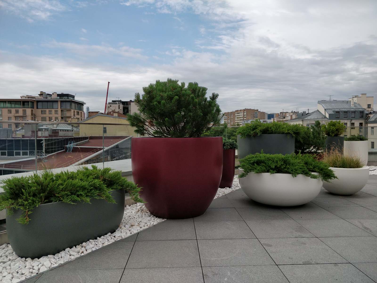 Обложка проекта: Озеленение крыши в центре Москвы