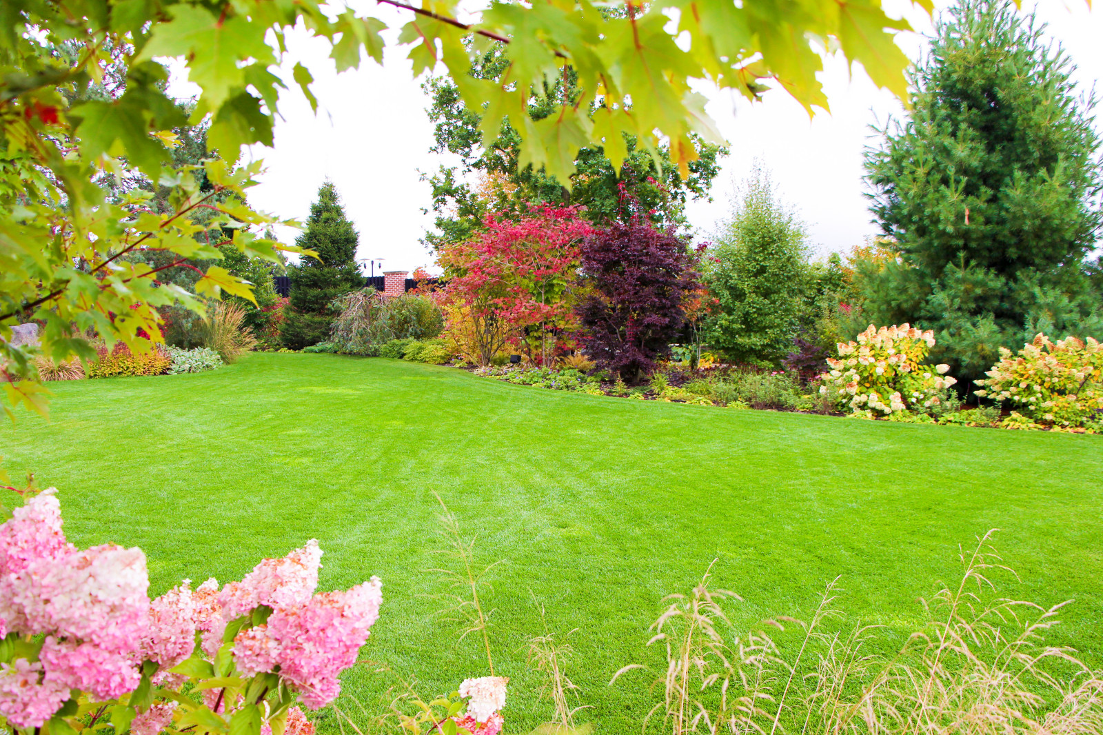 Горки-10, 2017-2020 г.г.