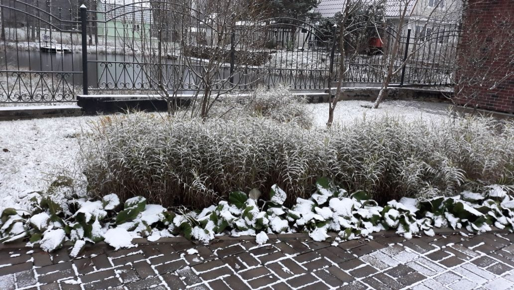 Сад  на холмах