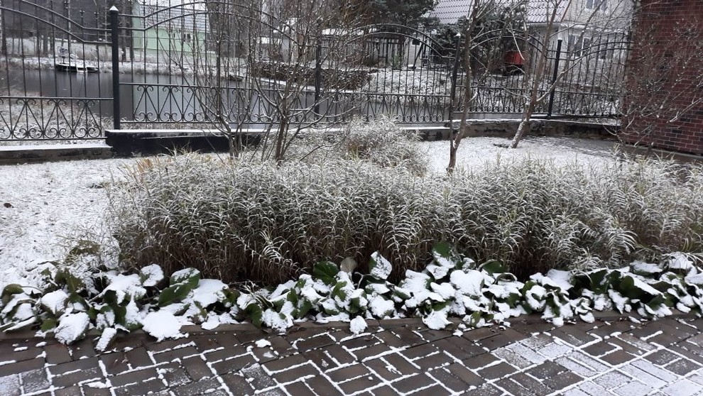 Сад  на холмах