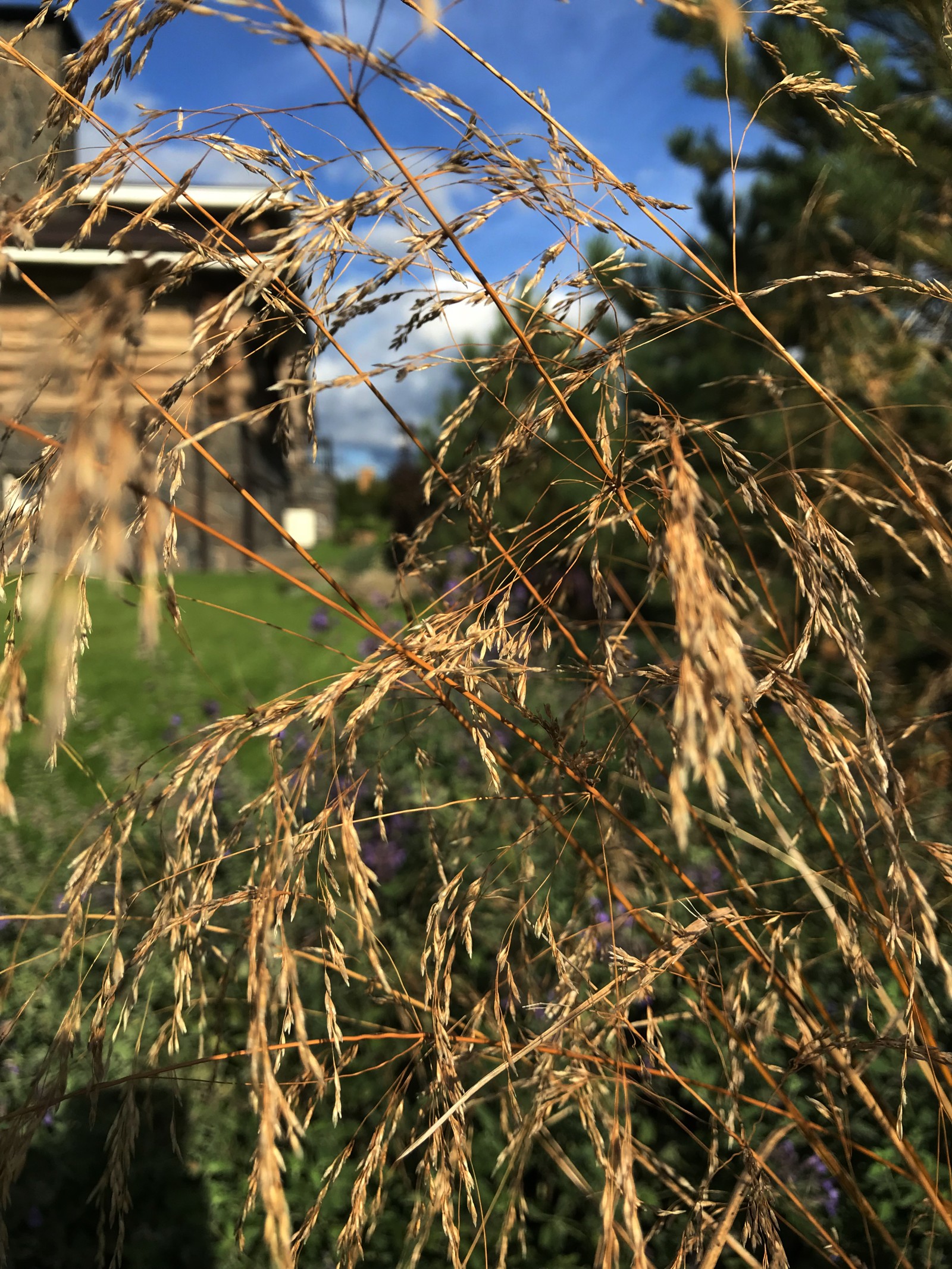 КП Завидово, 0.25 га