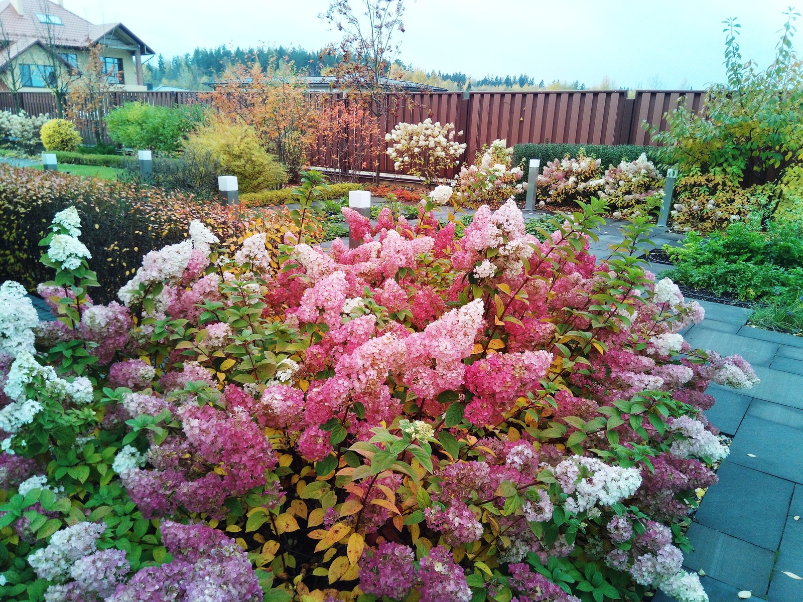 кп "Мартемьяново" - Профессиональный уход за садом - 100% качество!