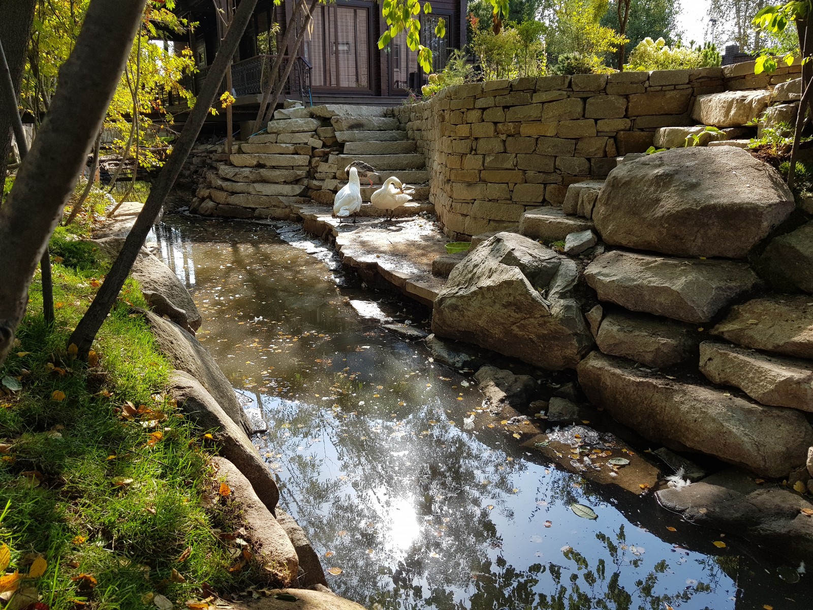 Обложка альбома: Houzz Екатеринбург: Сад с лебедями