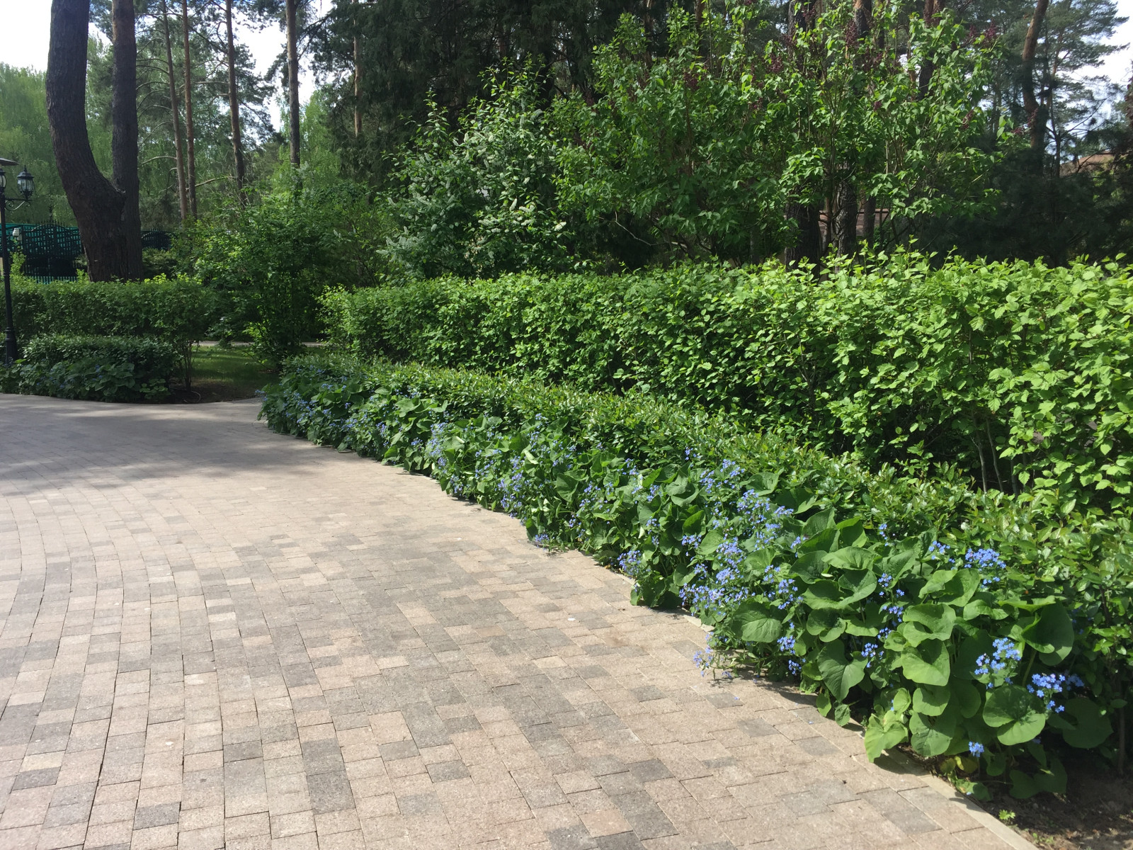 «Сад ажурных лугов»