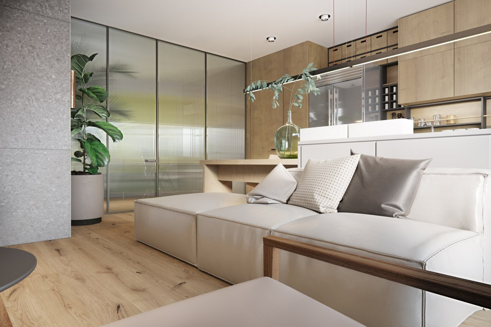 Обложка проекта: Apartment in Poznan