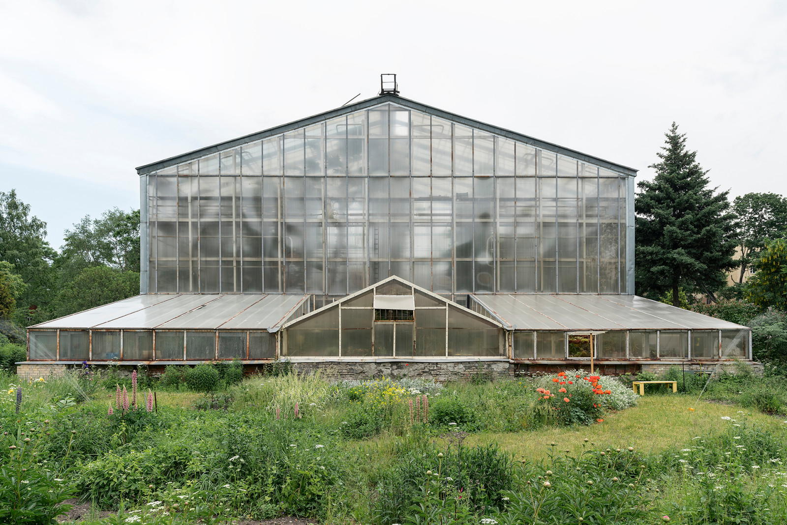 Обложка проекта: Ботанический сад в сердце Петербурга