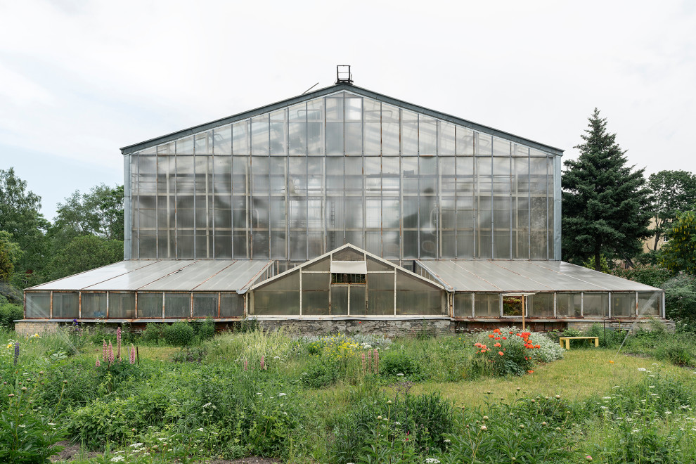 Обложка проекта: Ботанический сад в сердце Петербурга