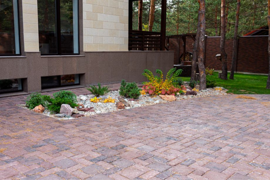 Портфолио Drevos