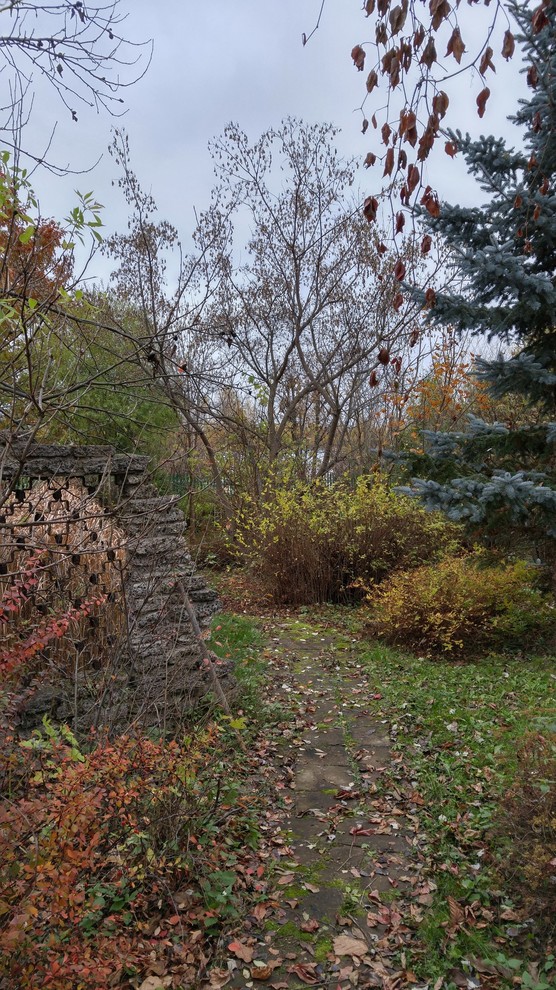 Тропинка в прошлое