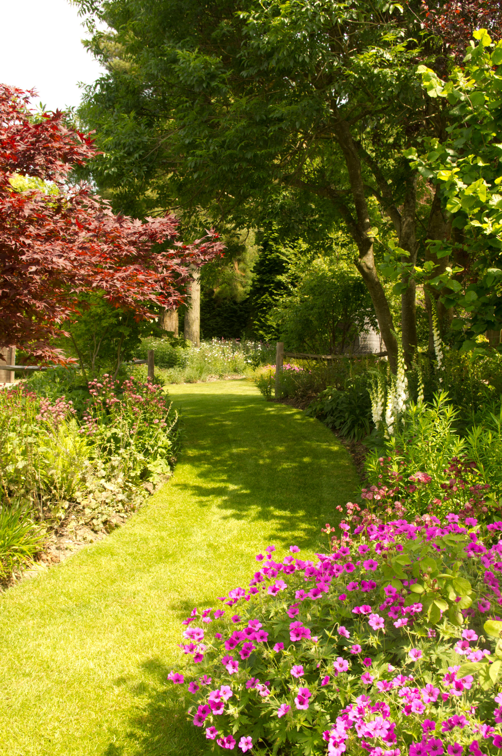 Хороший вопрос: Что посадить — однолетники или многолетники?