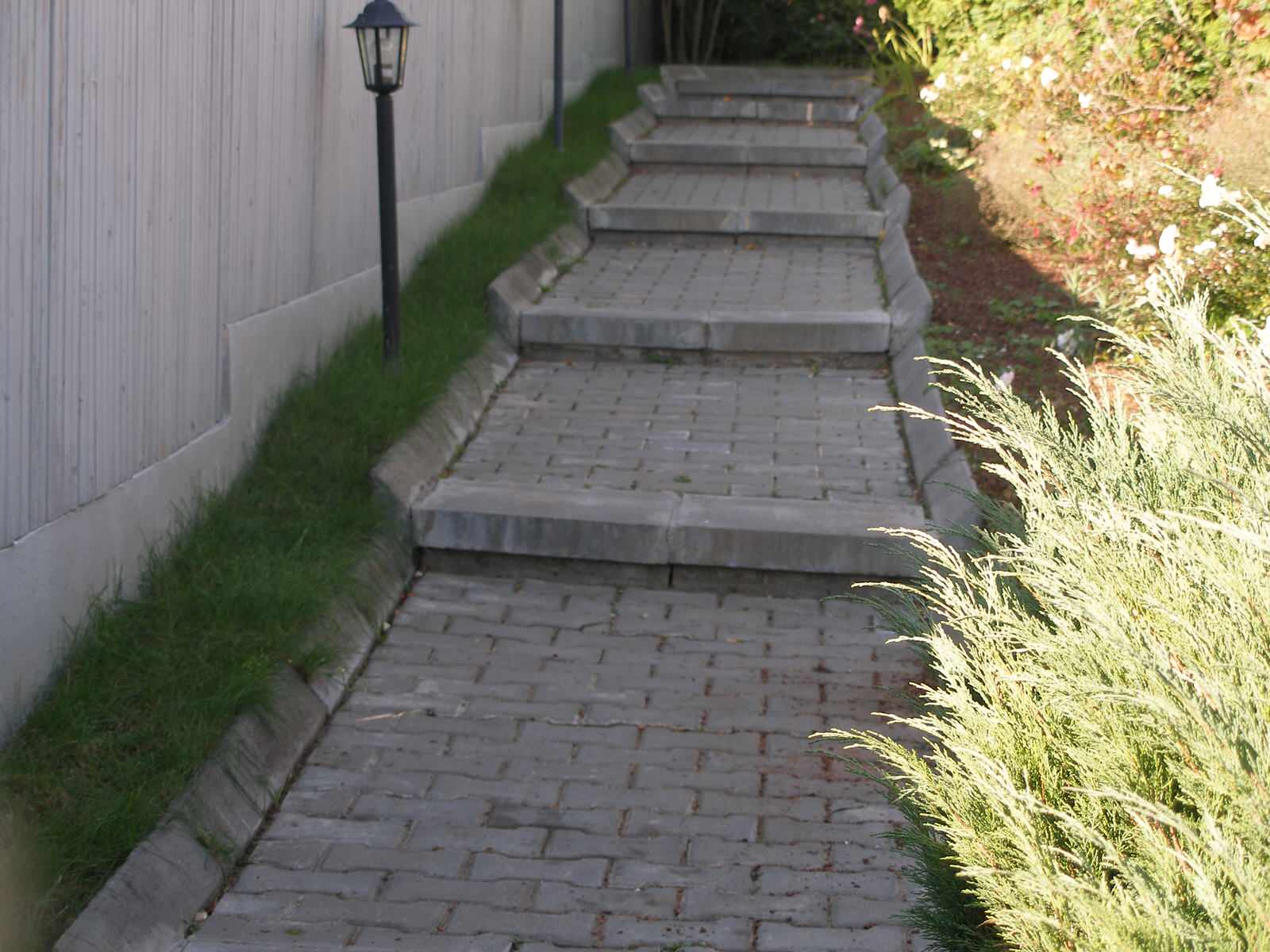 Регулярный сад