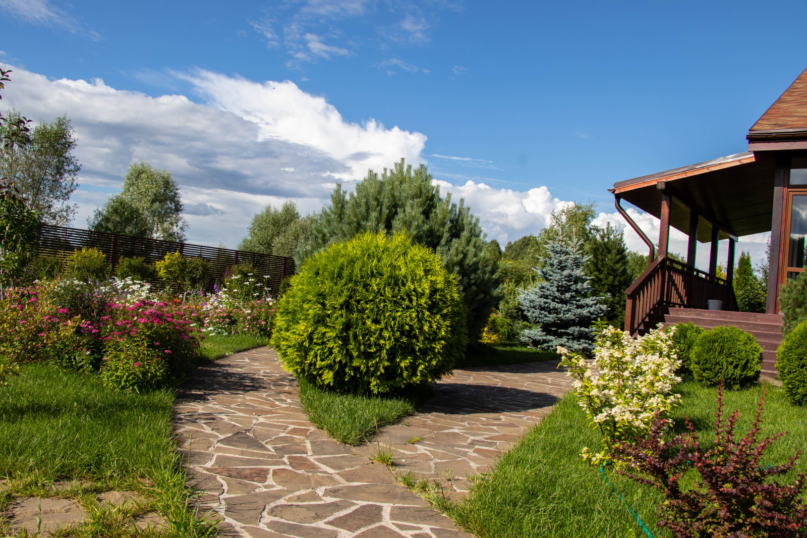 Сосновые берега