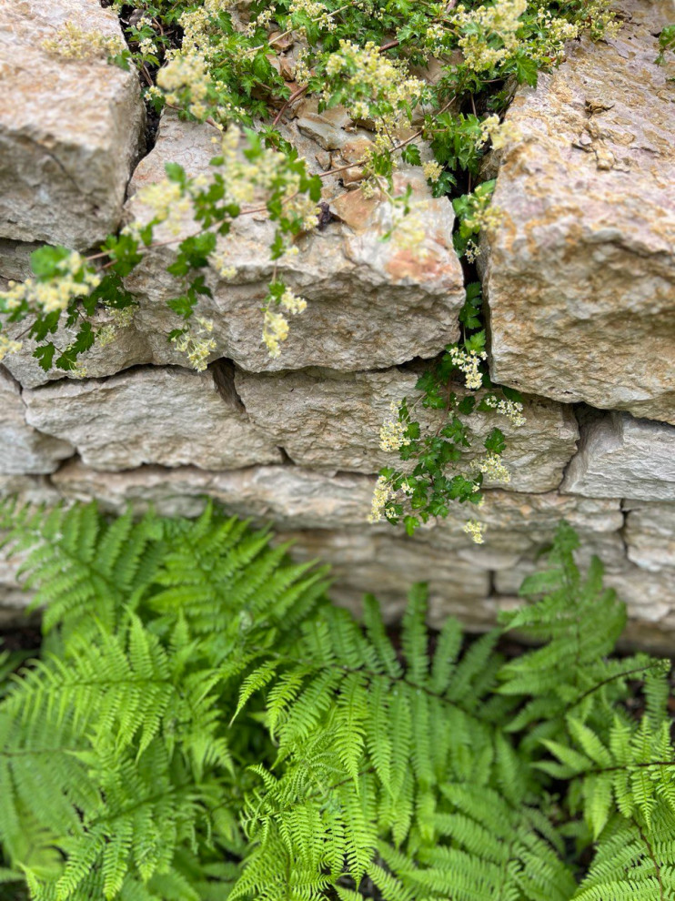 Английская история