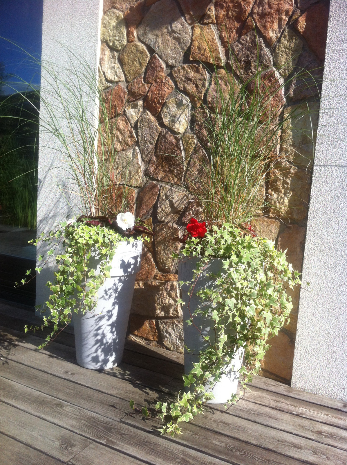 Обложка проекта: Уличные кашпо