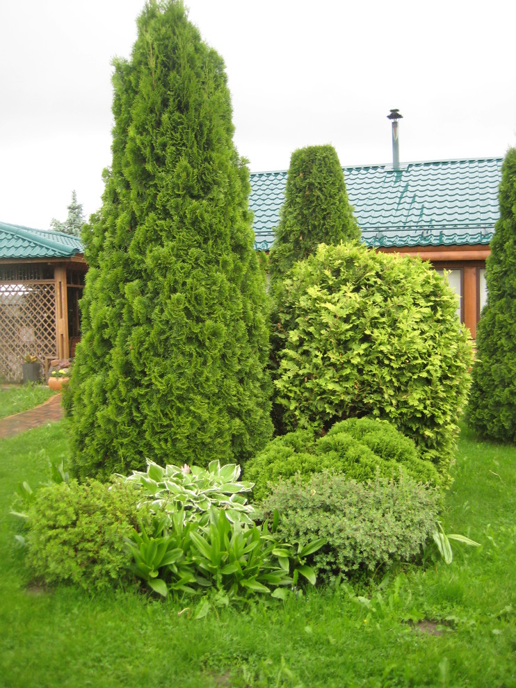 Хвойная идиллия