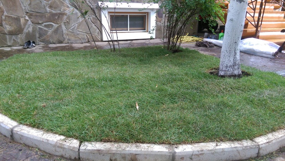 Укладка рулонного газона "под ключ"