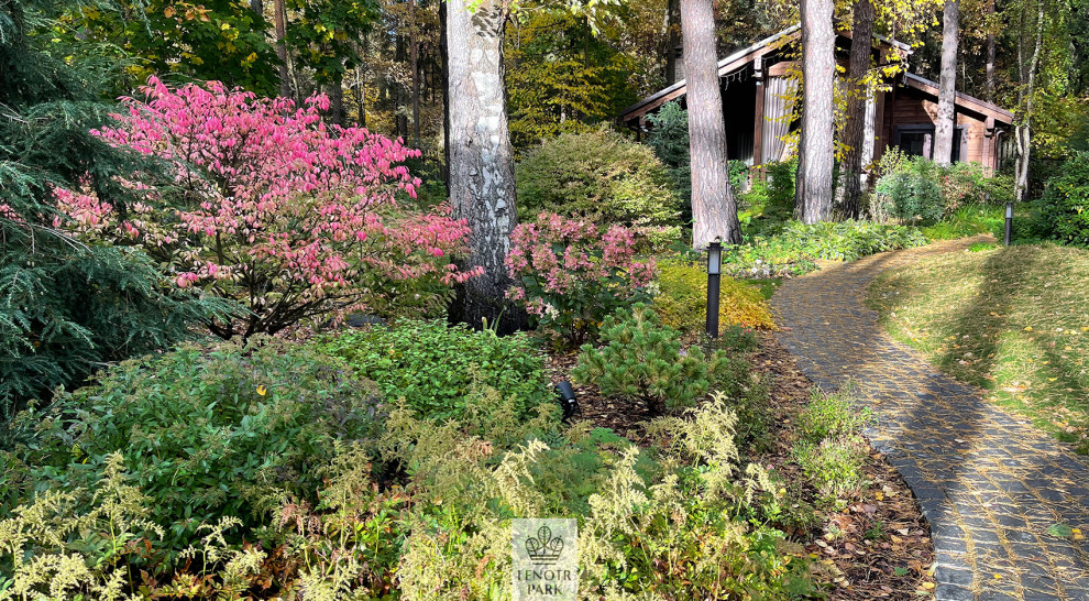 Заповедный бор