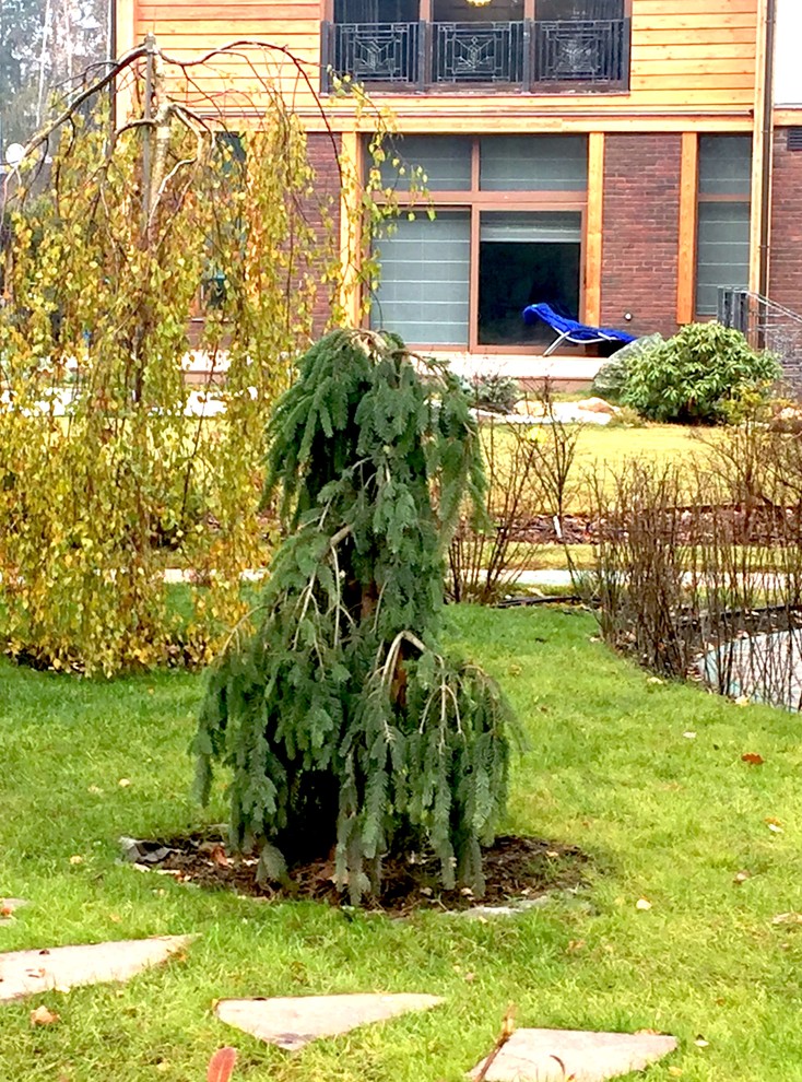 Графские пруды КП