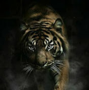 Рустам Хайруллоев