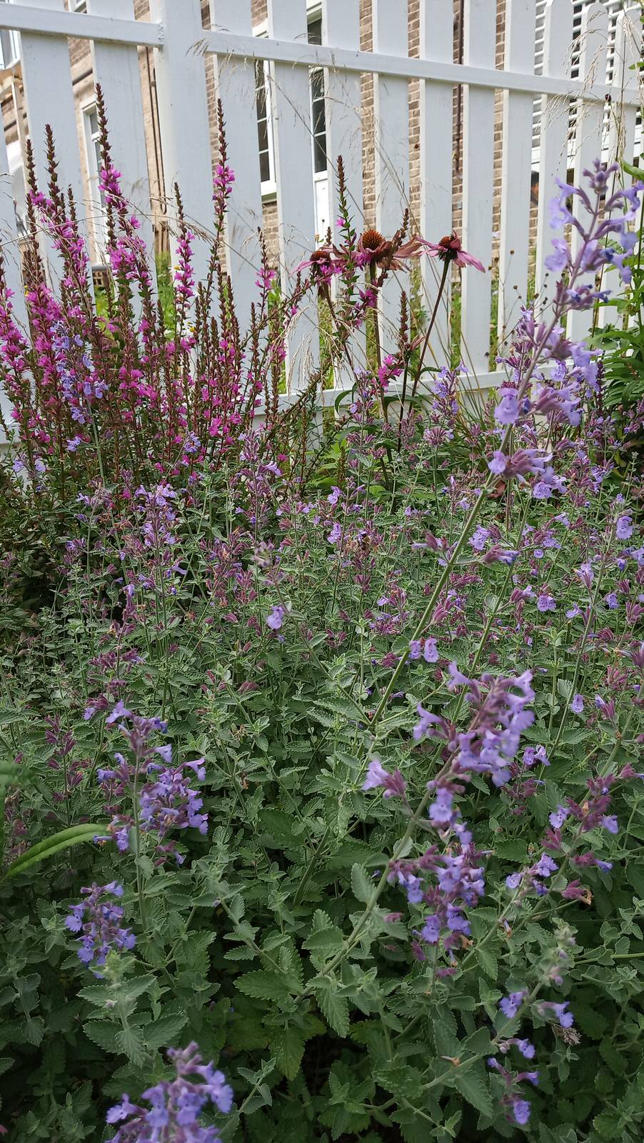 Английский садик