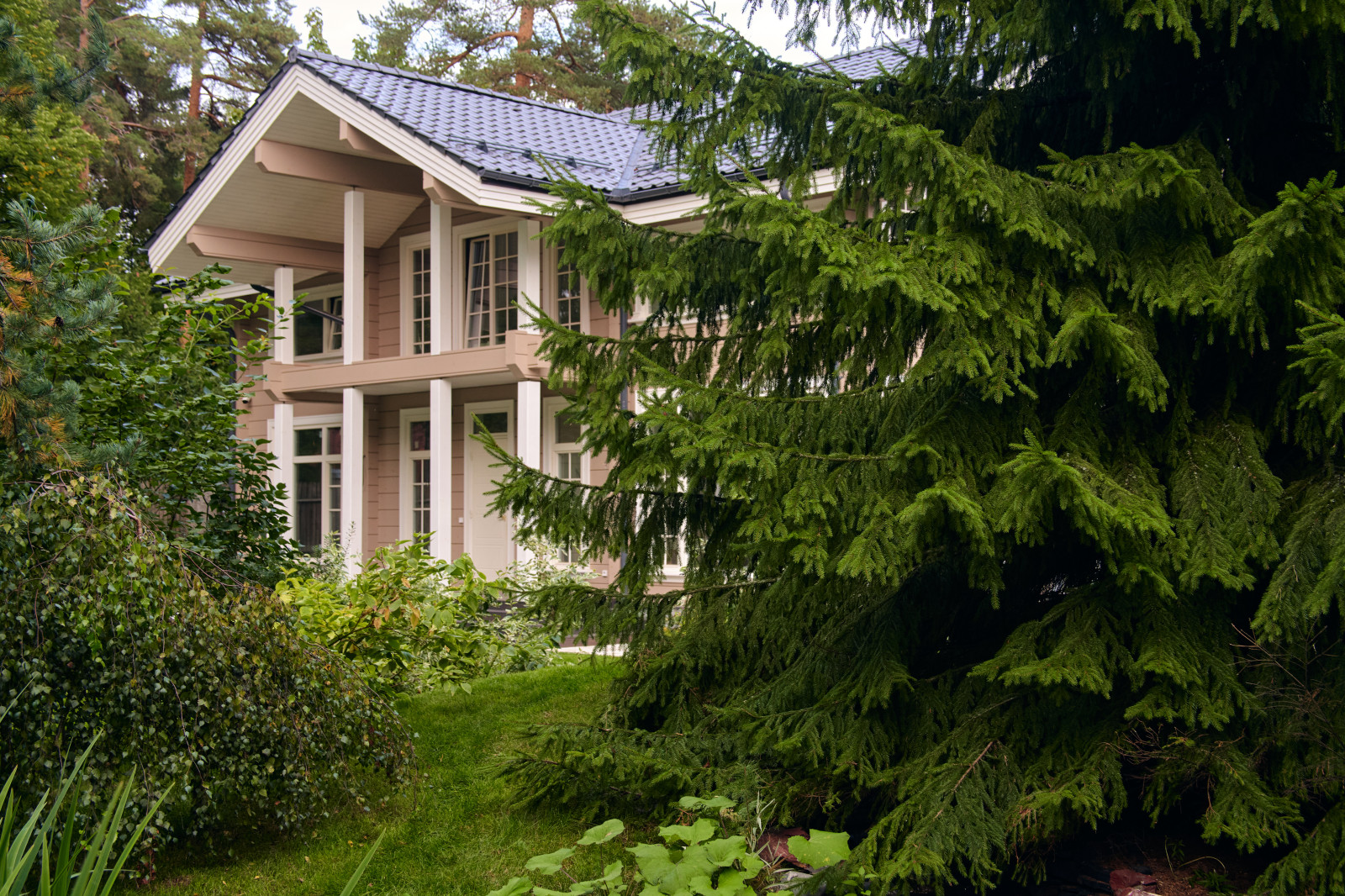 На Лисьем Носу