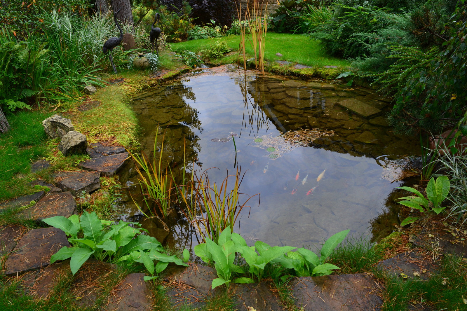 Проект в Ильичёво