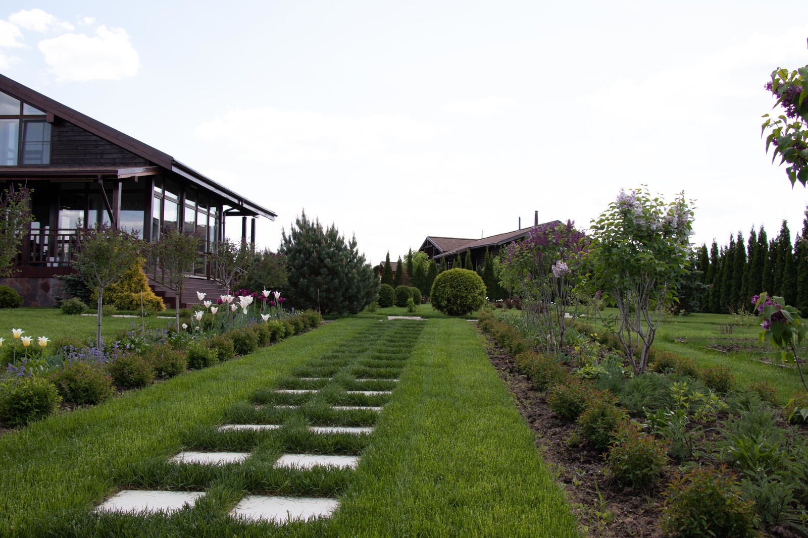 Сосновые берега