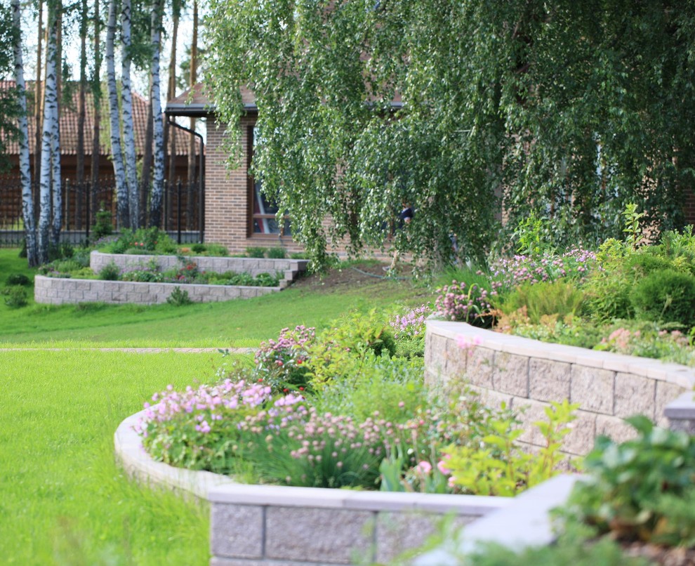 Обложка проекта: Березовая роща