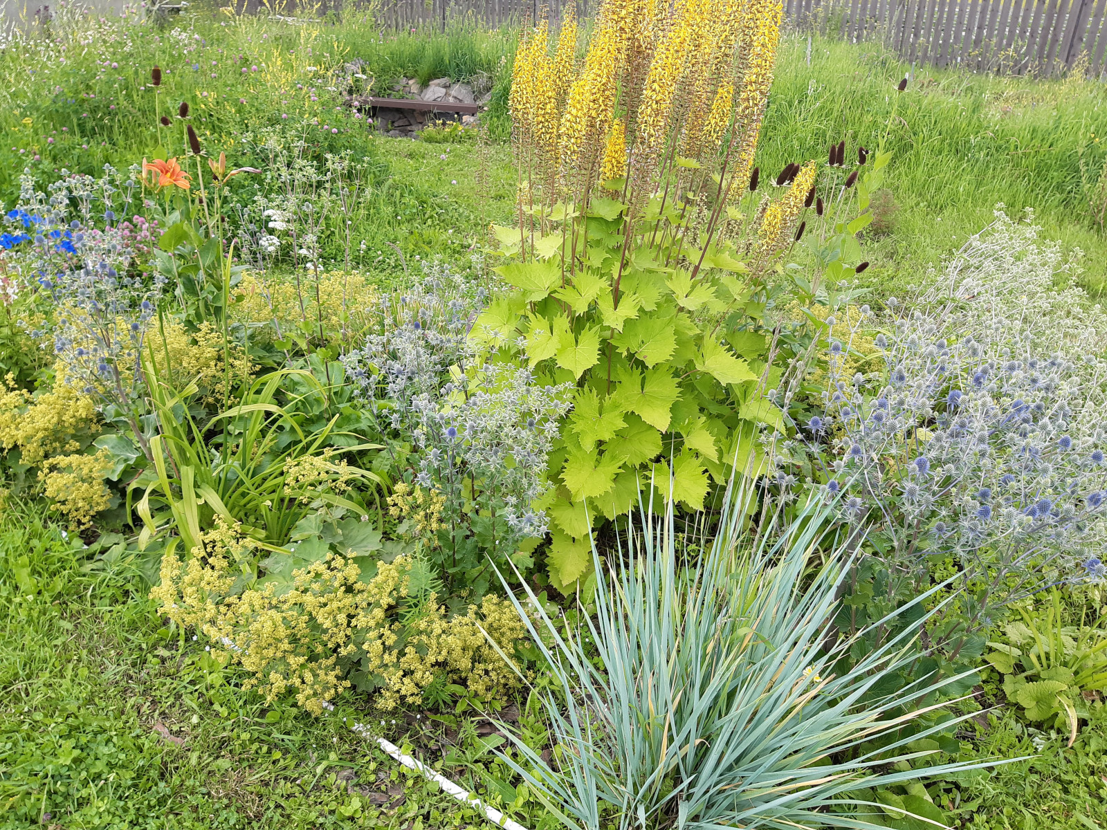 Миксбордер