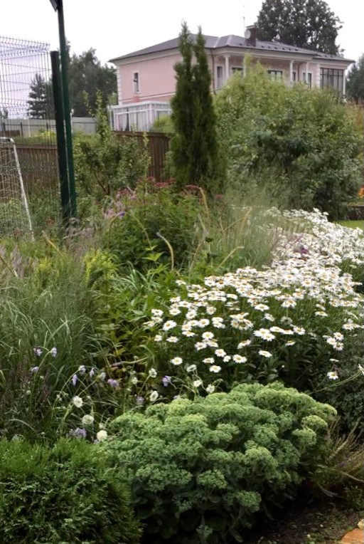 Обложка проекта: Цветники