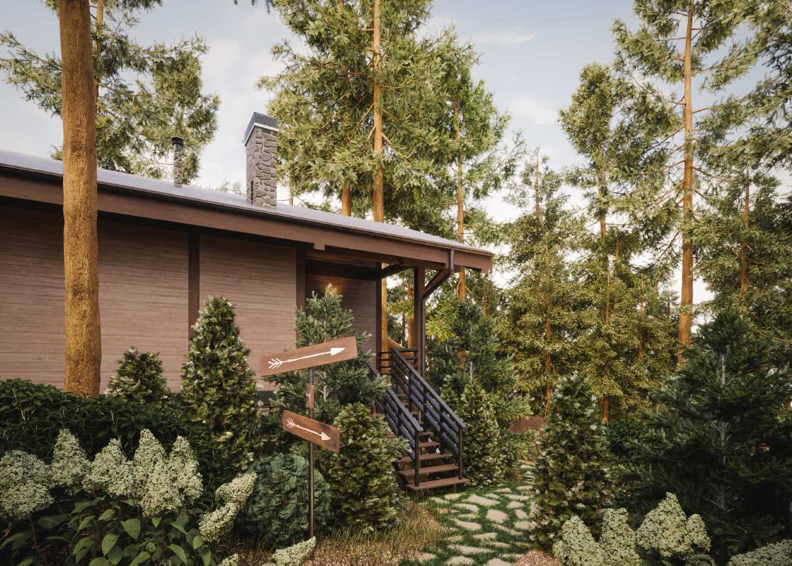 Лесные просторы