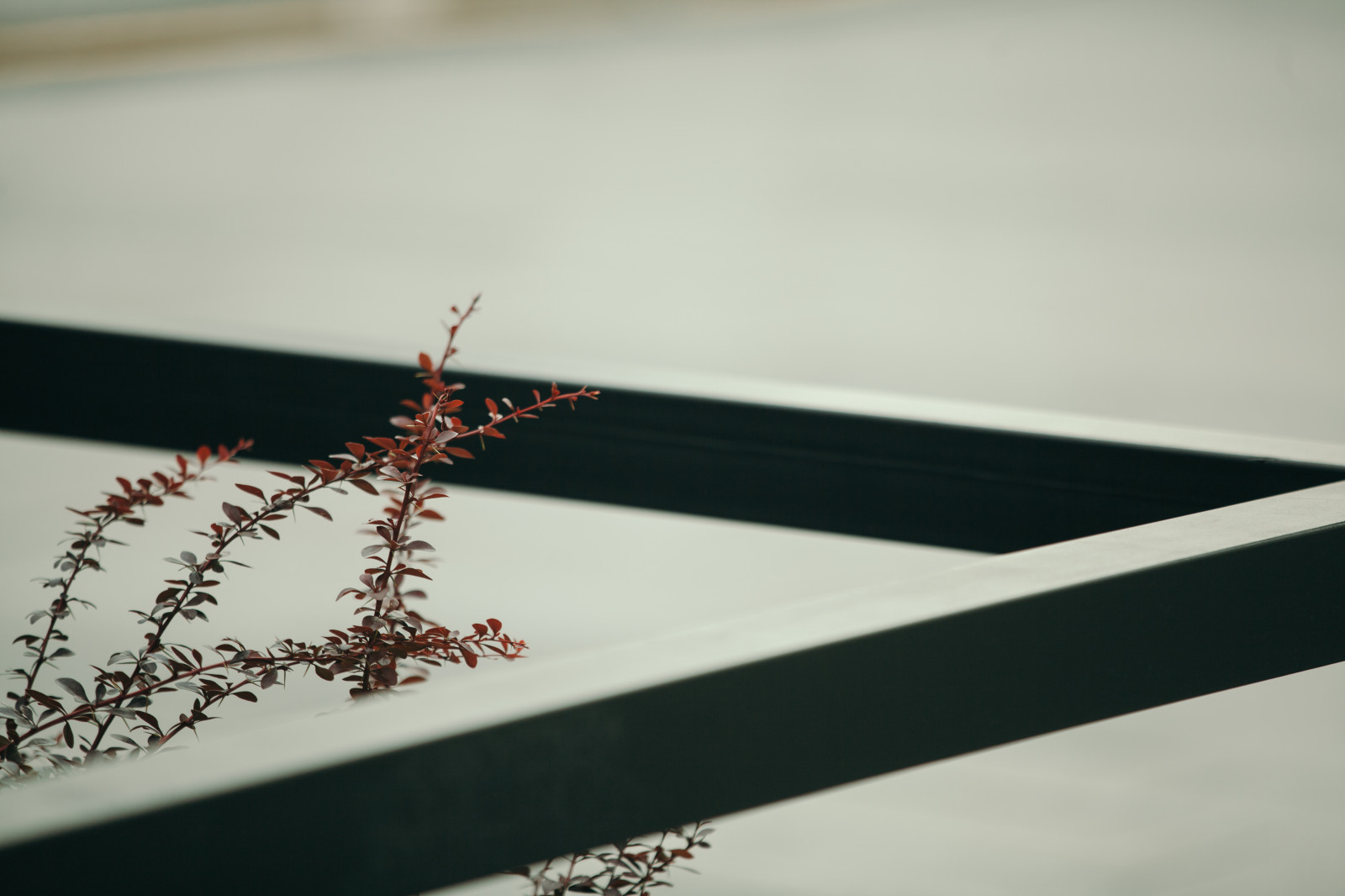 Архитектура природы