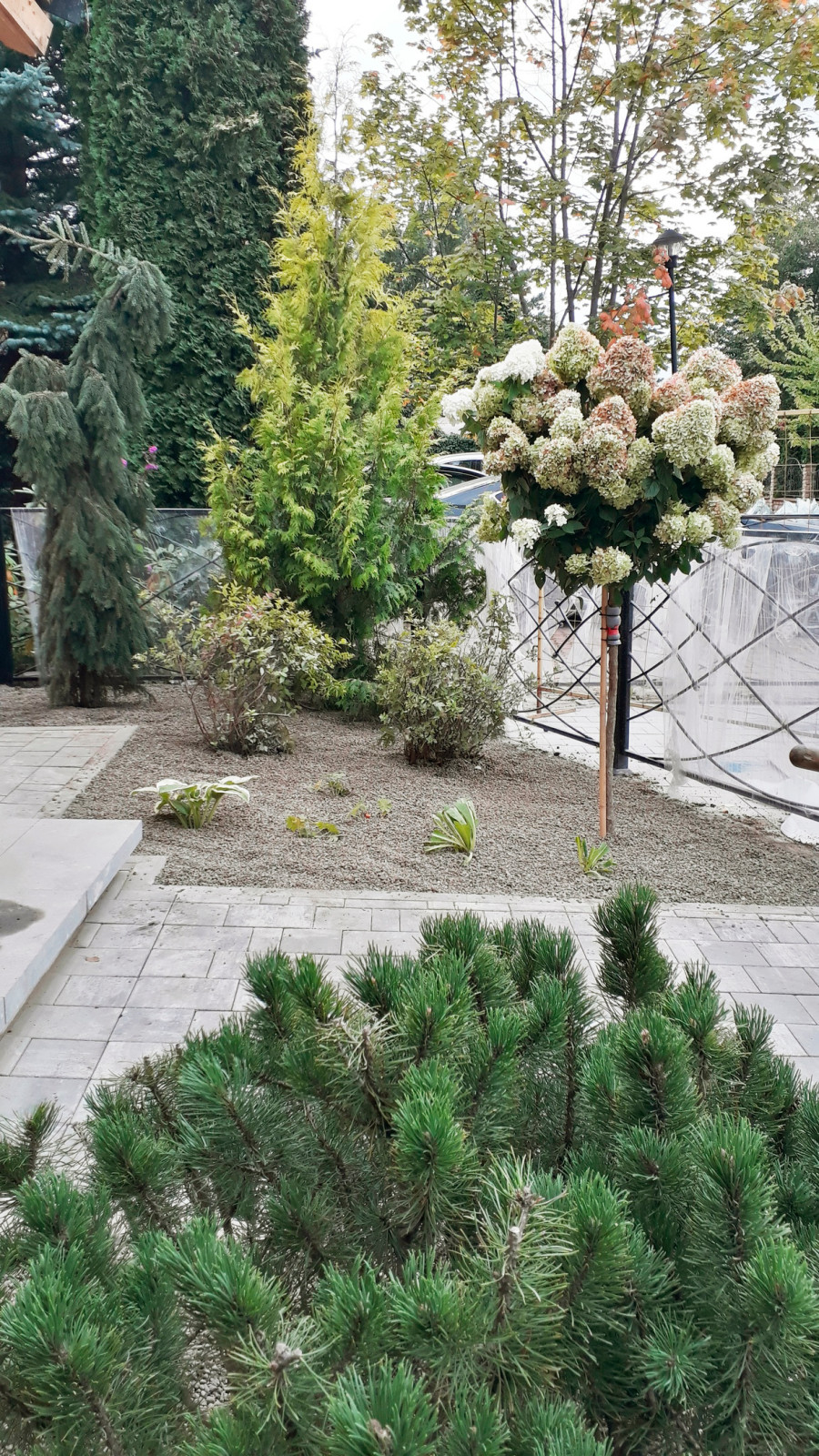 Обложка проекта: Сад при таунхаусе