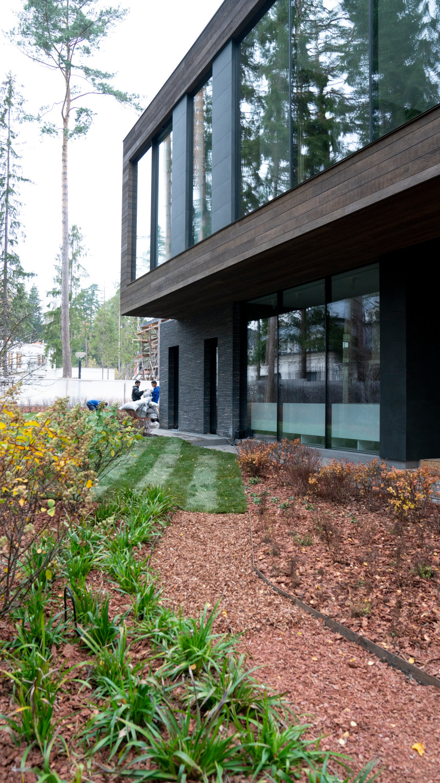 Обложка альбома: Дорожки из коры