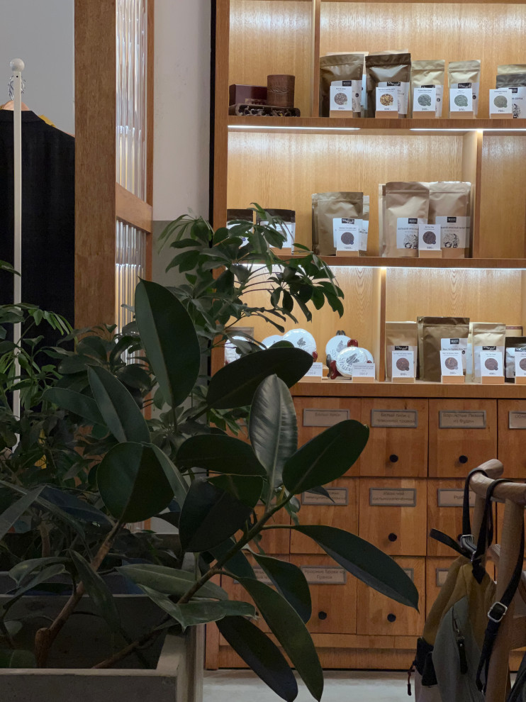 Обложка проекта: Проект кофейни Shurubor