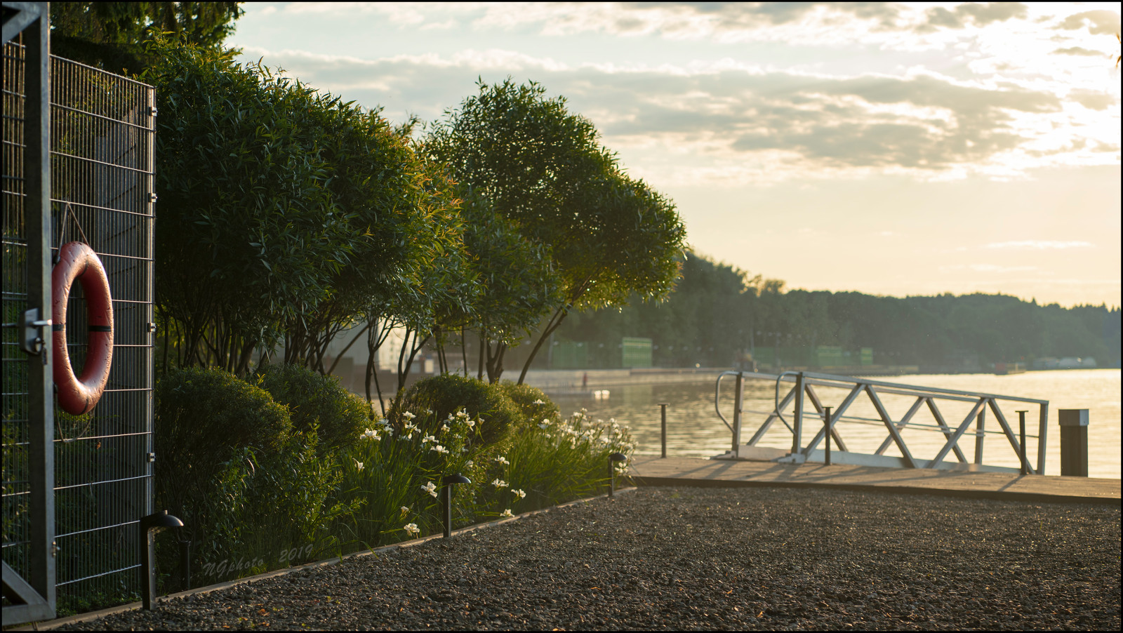 Сад на болоте.