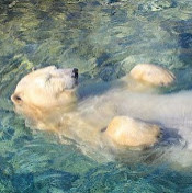 Руслан Качкимбаев