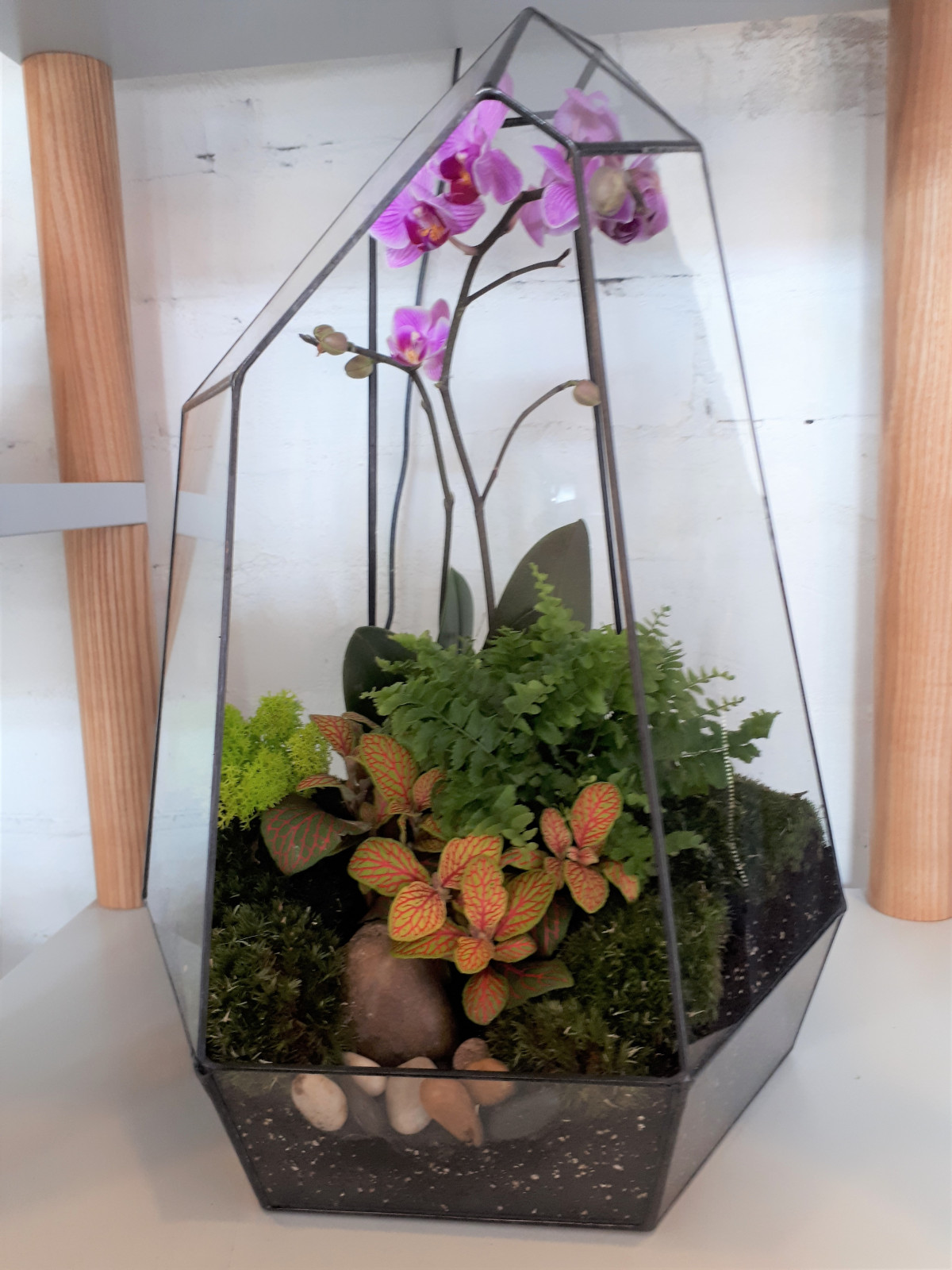 Настольные флорариумы