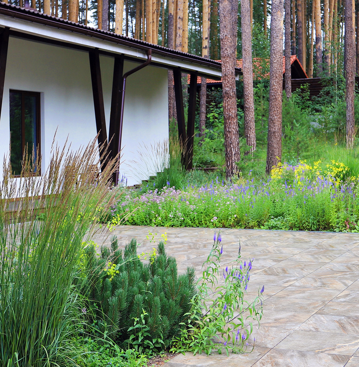 Лес и огород