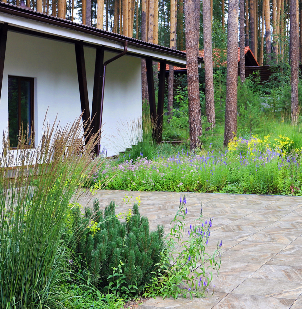 Лес и огород